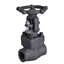 Forged Steel Gate Valve Supplier in Malaysia