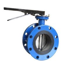 Flanged Butterfly Valve Manufacturer India.