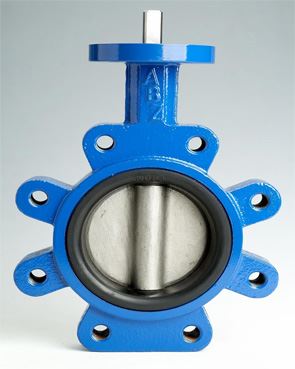 Butterfly Valves Manufacturer Lucknow.