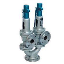 Double Spring Type Safety Valves Manufacturer India.